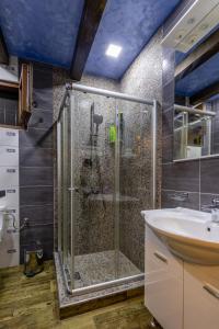 a bathroom with a shower and a sink at Luxury House Lotos in Golubovci