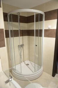 a shower with a glass enclosure in a bathroom at Family Hotel Demetra in Berkovitsa