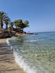 Una playa de arena con palmeras y el océano. en The Beach House, en Hersonissos