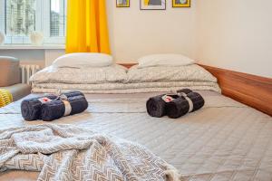 Posteľ alebo postele v izbe v ubytovaní Castle Cozy Apartment