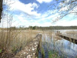 Foto dalla galleria di Haus am See a Lindow