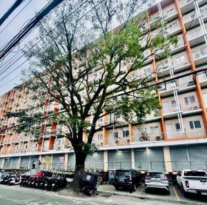 a tree in front of a large building with parked cars at Riverfront City 2 Suite Room in Naga