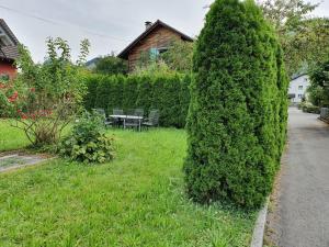 Zahrada ubytování Helene Hohenems, 4-12 P, Haus, 4 Schlafzimmer, Küche, Parkplatz, Garten, Wifi