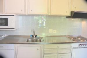 a kitchen with a sink and a microwave at Barony Olive mit Hund in Lugano