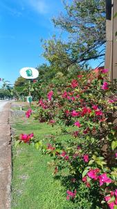 Billede fra billedgalleriet på Hotel Iguanas i Yautepec