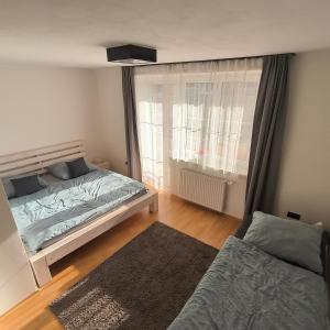 Postel nebo postele na pokoji v ubytování Červená cesta