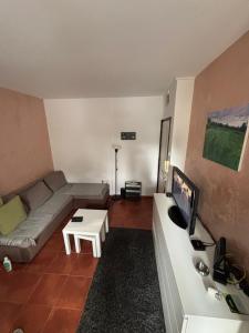 TV a/nebo společenská místnost v ubytování Apartman Šumski San
