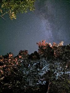 Foto dalla galleria di Sunset Retreat at Blind River a Blind River