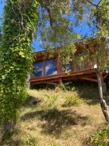 una casa en una colina con un árbol en Las Morillas, en El Bolsón