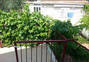 Zahrada ubytování Apartment Vido