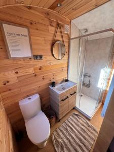 Un baño con inodoro, ducha y lavabo. en La Roulotte Saintaise, en Saintes