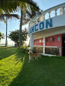 Fotografie z fotogalerie ubytování Hotel Isla Ancon v destinaci Lorica
