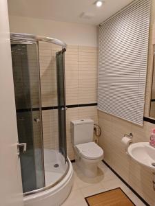 a bathroom with a toilet and a shower and a sink at Apartmán SOVA - Klínovec in Loučná pod Klínovcem +18 photos