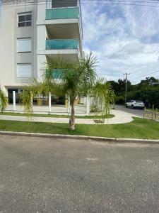eine Palme vor einem Gebäude in der Unterkunft Apto Novo em Palmas in Governador Celso Ramos