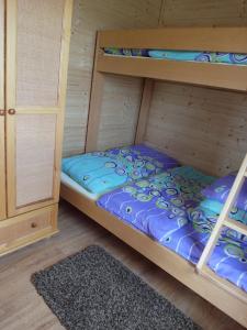 ダルウォボにあるDomki Letniskowe Paulaのベッドルーム1室(二段ベッド2台、ラグ付)