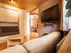 salon z kanapą i telewizorem z płaskim ekranem w obiekcie Alpensteinbock Saalbach D w Saalbach Hinterglemm