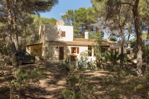 une maison au milieu d'une forêt dans l'établissement Residence Can Confort Formentera, à Sant Francesc Xavier