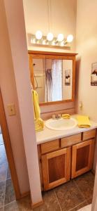 a bathroom with a sink and a mirror at Soldotna Alaska 1 bedroom Split Level Guesthouse in Soldotna