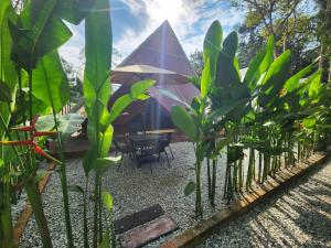 Zahrada ubytování SkyTree Glamping