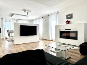a living room with a black couch and a tv at Spacious Cosy Apt with Pool and Parking in Pesnica pri Mariboru