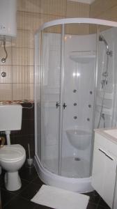 bagno con doccia e servizi igienici. di Apartment "Kod None" a Vis