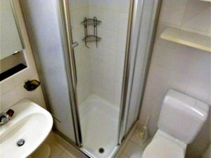 a bathroom with a shower and a toilet and a sink at Apartment in Veysonnaz near Ski Gondola in Veysonnaz +9 photos