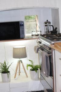 a kitchen with a stove and two potted plants at 'The Gardenia' Trentham in Trentham