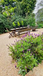 a park bench with a bunch of plants and flowers at 'The Gardenia' Trentham in Trentham