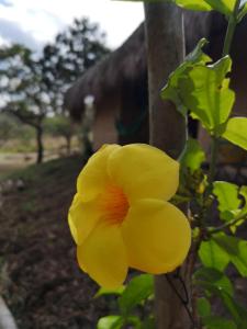 Fotografie z fotogalerie ubytování Eco Hostel Oro de Gaque v destinaci San Gil