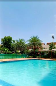 a large blue swimming pool with palm trees in the background at ZenRoofs - Brij Bhumi Haven 1 in Vrindāvan
