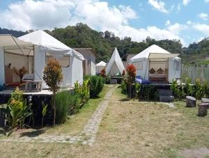 a group of white tents in a yard at La Danu Glamping in Kubupenlokan