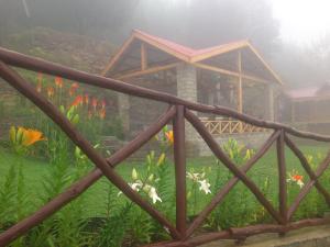 Himalyan Kothi Kais外面的花园