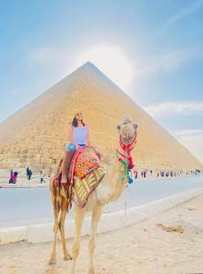 Majutusasutuse Pharaohs Oasis Hotel külastajad