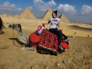 Majutusasutuse Pharaohs Oasis Hotel külastajad