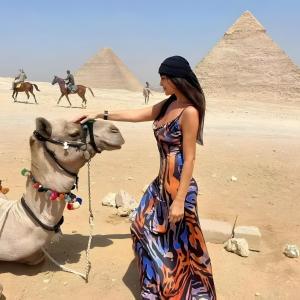 Majutusasutuse Pharaohs Oasis Hotel külastajad