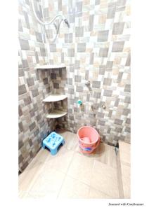 O baie la Shri Bhagwati Paying Guest House +30 fotografii