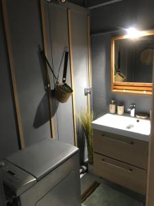 a bathroom with a sink and a mirror at Studio vue splendide sur mer et port in Saint-Cyprien-Plage