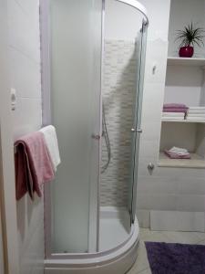 Koupelna v ubytování Apartments Mila