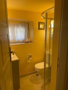 a yellow bathroom with a toilet and a shower at 1867 Manor in Leonidio