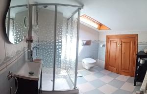 a bathroom with a shower and a toilet at Les Piperes in Corao +10 photos