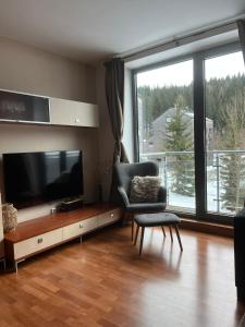 Televízia a/alebo spoločenská miestnosť v ubytovaní Apartment Mumlava falls