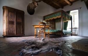Fotografie z fotogalerie ubytování Zamek Zabreh v Ostravě