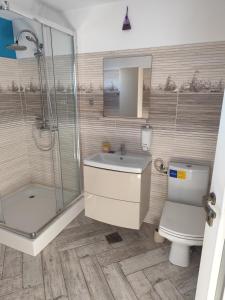 Un baño con ducha, inodoro y lavabo. en Vila Calut de mare Jurilovca, en Jurilovca 69 fotos más