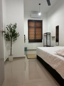 a bedroom with a bed and a potted tree in it at Luxury HAZA Homestay in Kuantan +24 photos