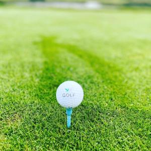 a golf ball sitting in the grass next to a path at FERIENWOHNUNG Kiefer WE 3 in Göhren-Lebbin