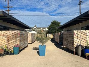 a patio with a blue vase with a plant in it at Urban Luxe Retreat l King Bed l Kitchenette in Solvang