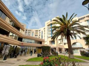 een palmboom voor een gebouw bij T2 vue port de Sete in Sète