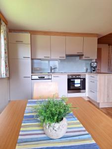 Kuchyň nebo kuchyňský kout v ubytování Ferienwohnung Angelina + 8 fotografií