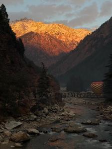 Naturlandskabet i nærheden af pensionatet