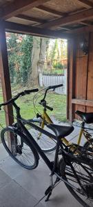 ein Fahrrad, das in einem Raum mit Fenster geparkt ist in der Unterkunft FeWo-Butze 3 Esens in Esens + 3 Fotos